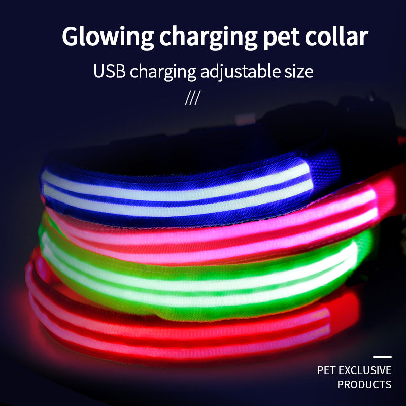 LED Dog Collar for Night Walks, USB Rechargeable Glow