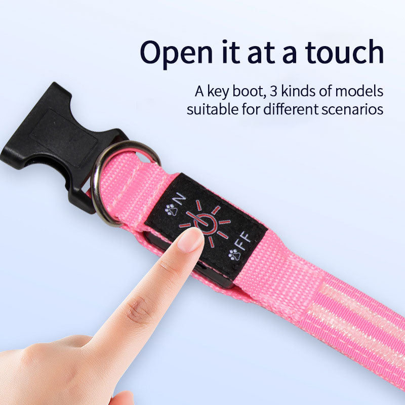 LED Dog Collar for Night Walks, USB Rechargeable Glow