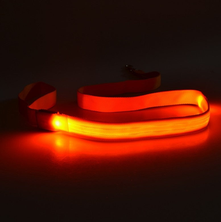 LED Light Dog Leash for Safer Night Walk Visibility