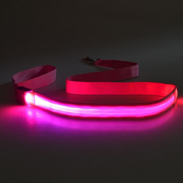 LED Light Dog Leash for Safer Night Walk Visibility