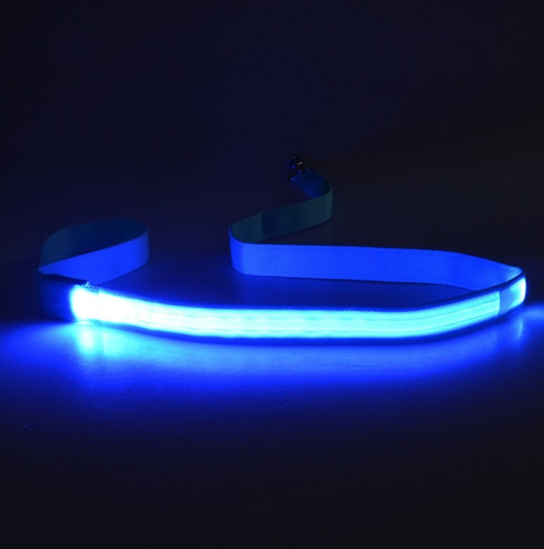 LED Light Dog Leash for Safer Night Walk Visibility