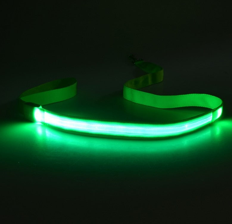 LED Light Dog Leash for Safer Night Walk Visibility
