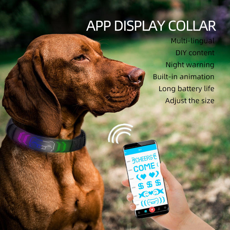 LED Dog Collar with Customizable Night Visibility