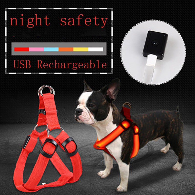 LED Dog Chest Strap for Nighttime Visibility & Safety