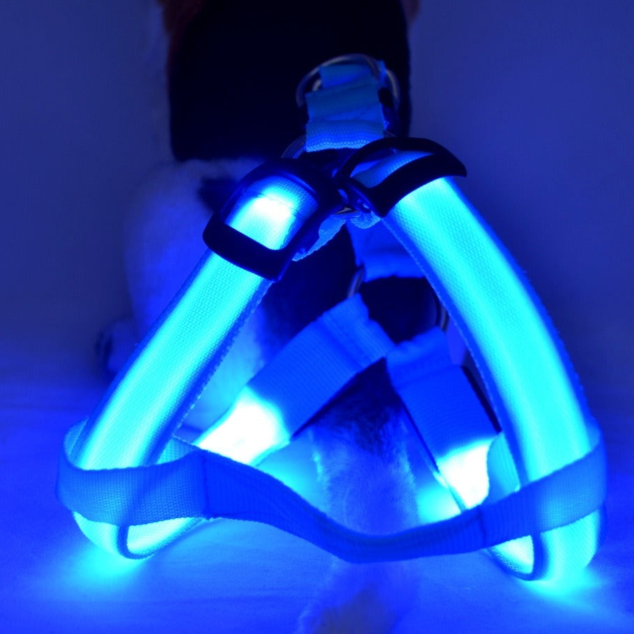 LED Dog Chest Strap for Nighttime Visibility & Safety