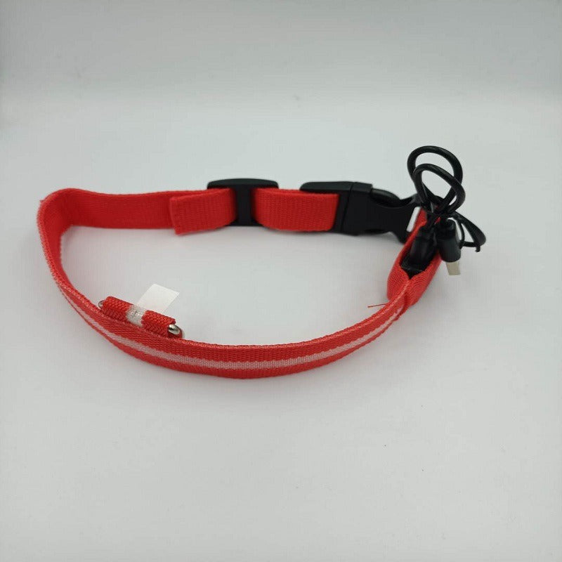 USB LED Dog Collar for Nighttime Visibility & Safety