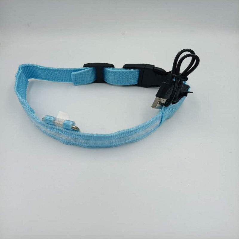 USB LED Dog Collar for Nighttime Visibility & Safety