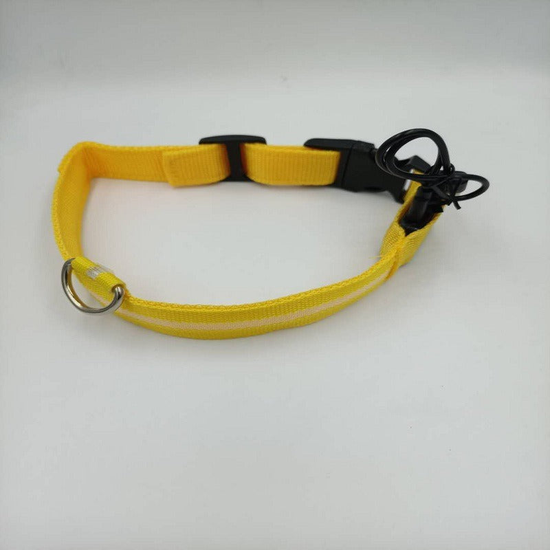 USB LED Dog Collar for Nighttime Visibility & Safety