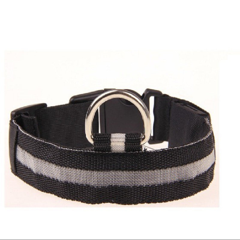 USB LED Dog Collar for Nighttime Visibility & Safety