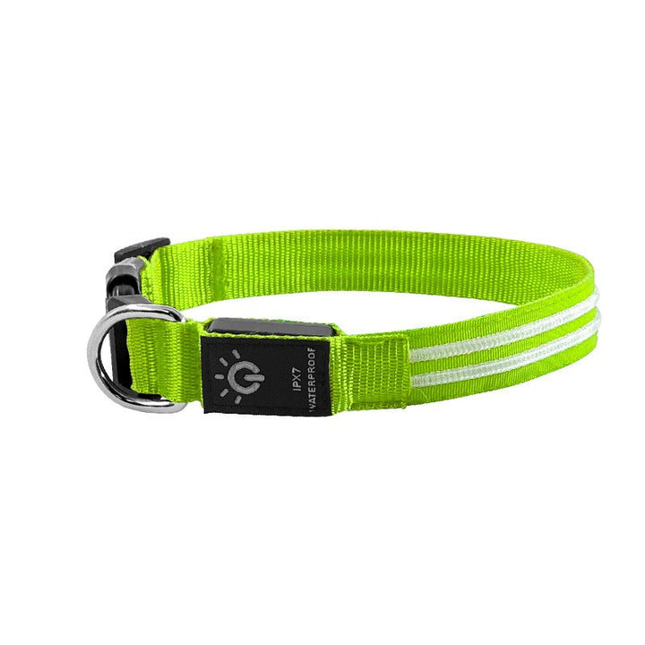LED Dog Collar for Nighttime Visibility & Rainy Walks