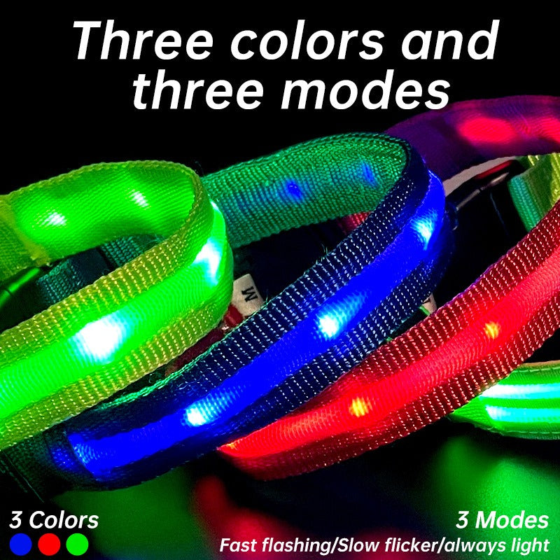 LED Dog Collar for Nighttime Visibility & Rainy Walks