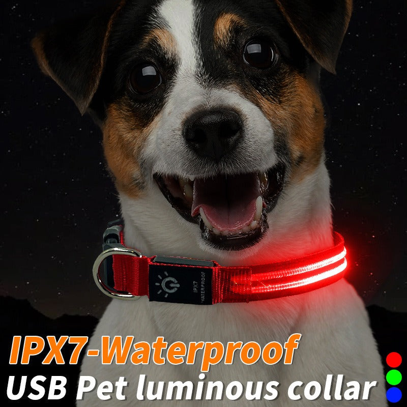 LED Dog Collar for Nighttime Visibility & Rainy Walks