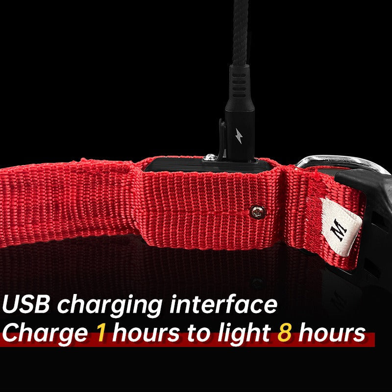LED Dog Collar for Nighttime Visibility & Rainy Walks