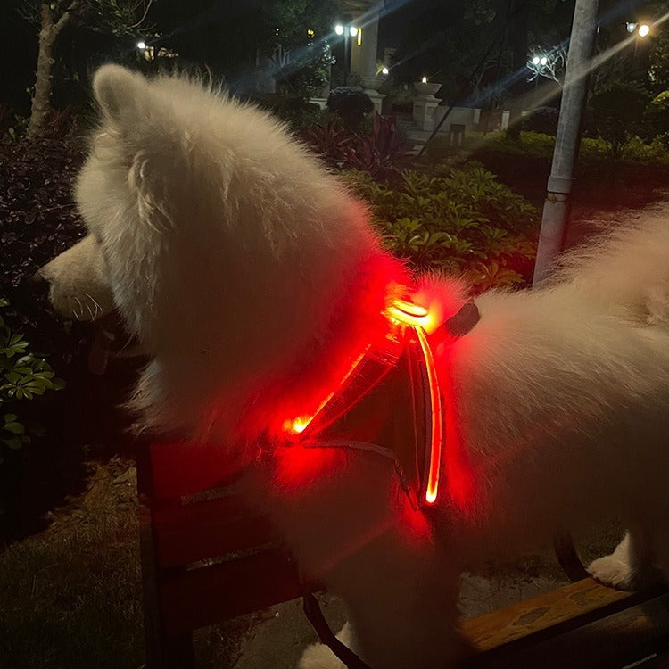 LED Pet Harness for Nighttime Visibility & Safety