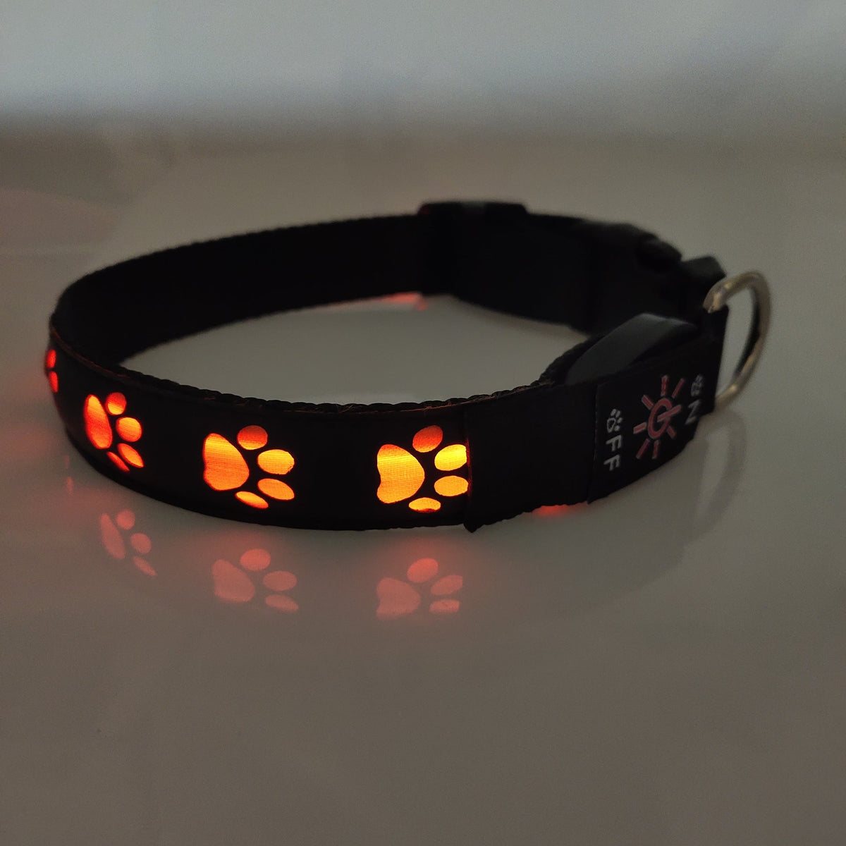 Rechargeable LED Dog Collar for Safer Night Walks