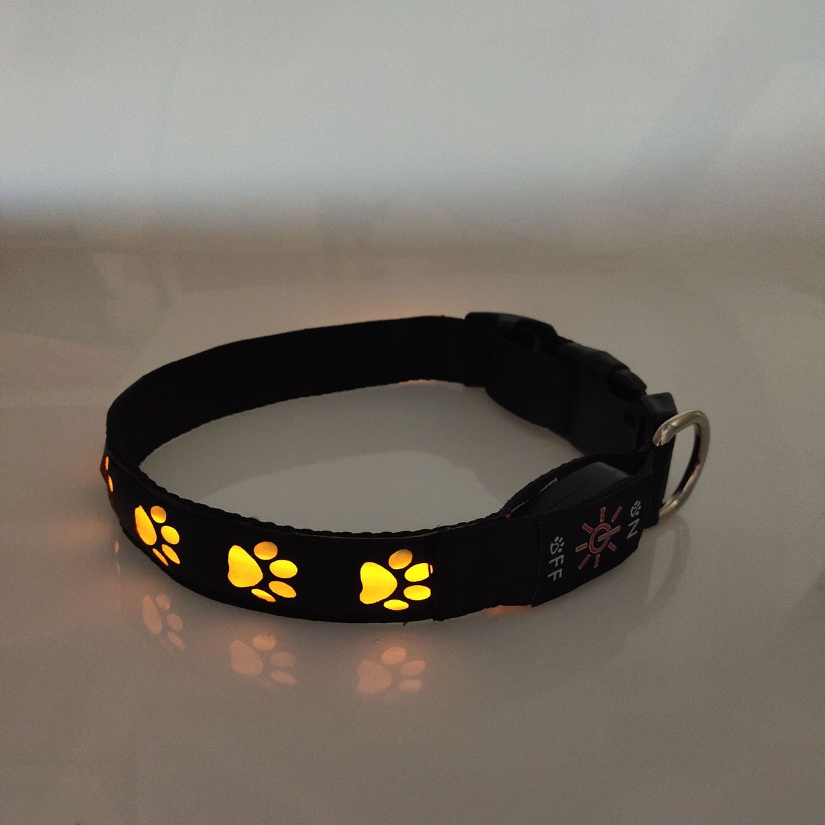 Rechargeable LED Dog Collar for Safer Night Walks