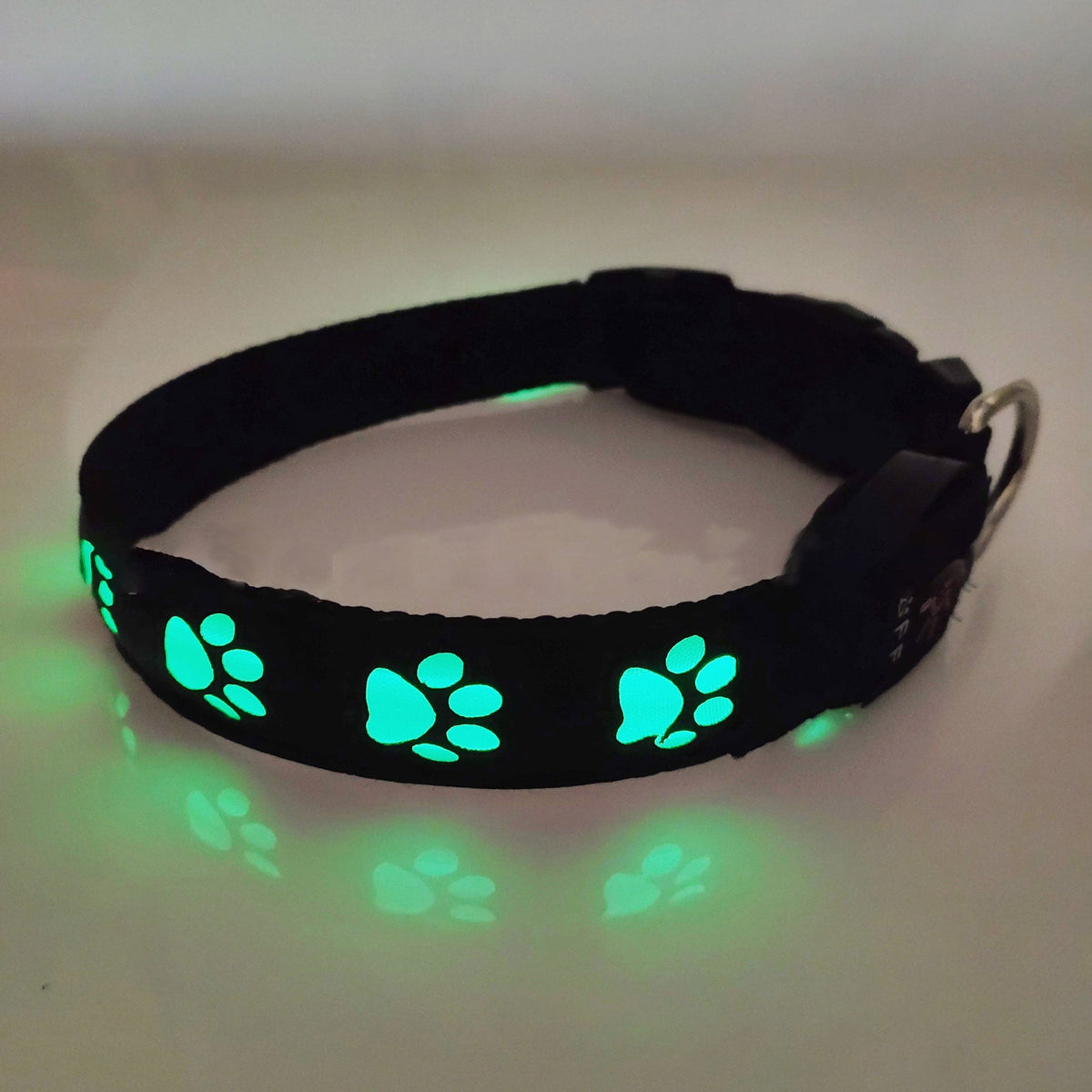 Rechargeable LED Dog Collar for Safer Night Walks