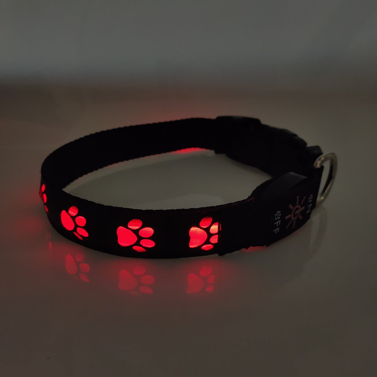Rechargeable LED Dog Collar for Safer Night Walks