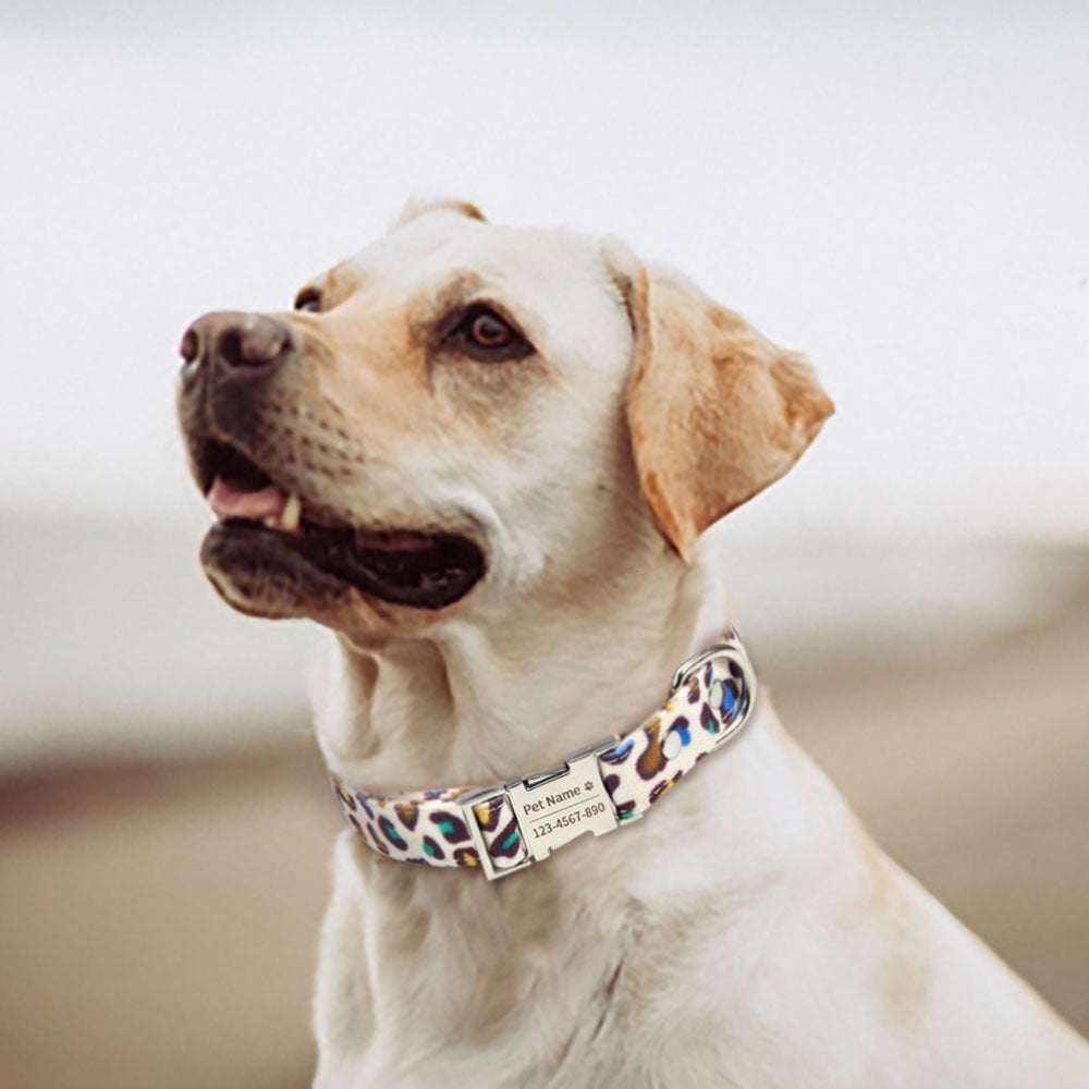 Leopard Dog Collar and Leash Set With Custom ID Info