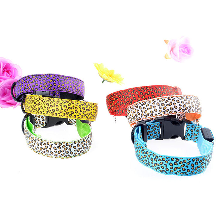 LED Dog Collar for Bright Nighttime Visibility Walks