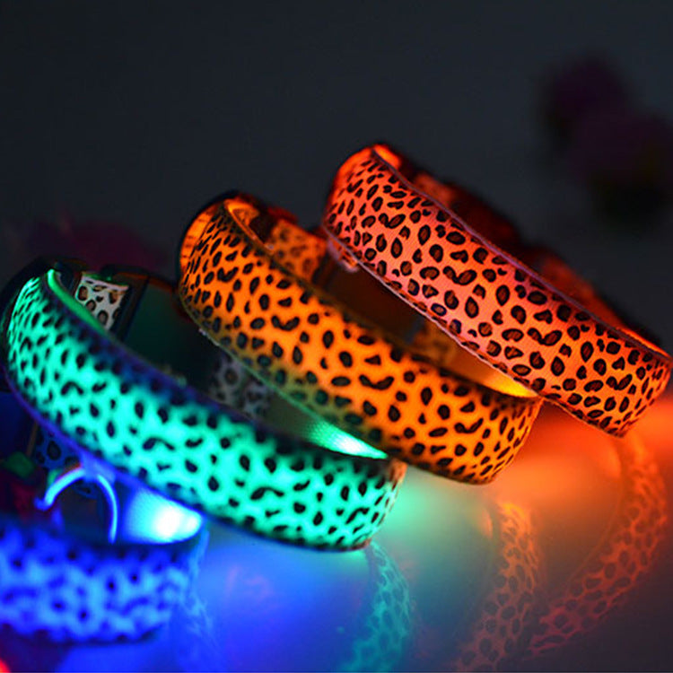 LED Dog Collar for Bright Nighttime Visibility Walks