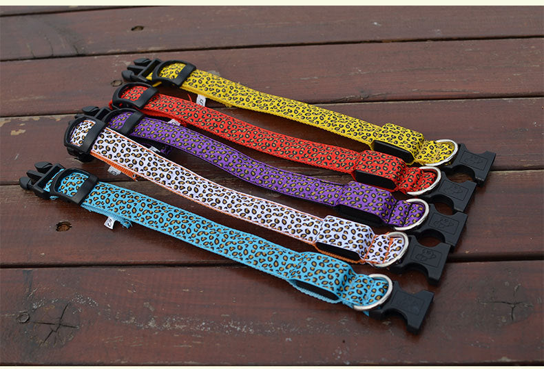 LED Dog Collar for Bright Nighttime Visibility Walks