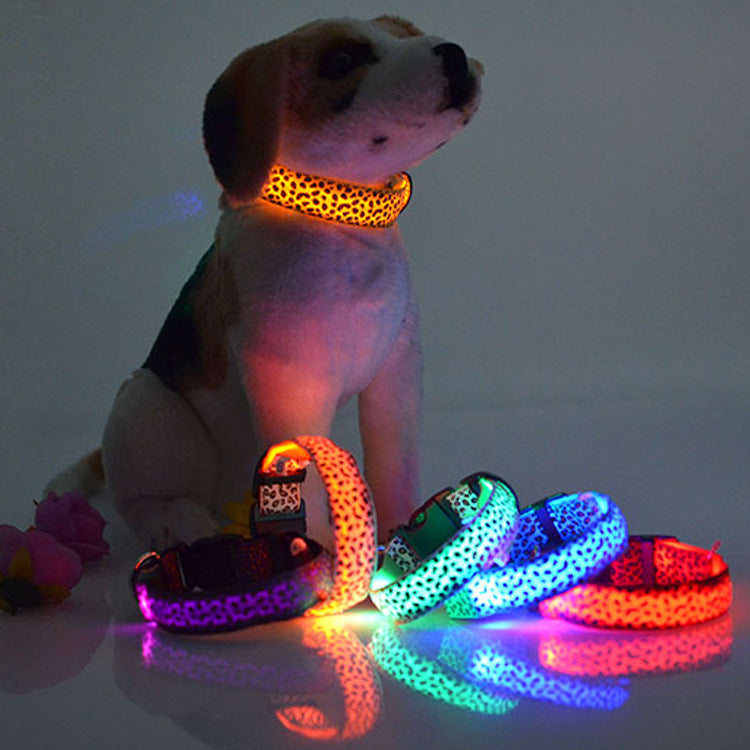 Leopard LED Dog Collar for Bright Night Walk Visibility