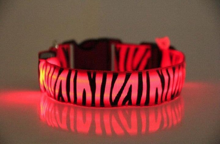 LED Zebra Stripe Dog Collar for Night Walks