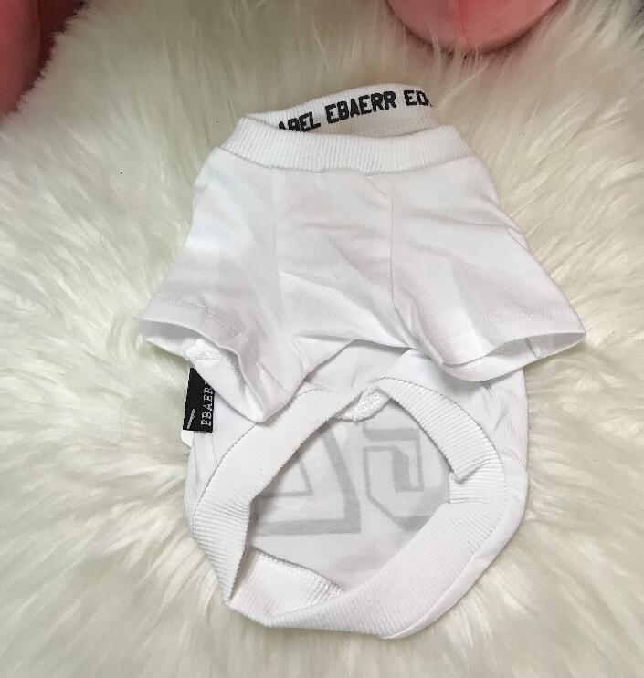Small Dog Sweater With Bold Letter Print for Spring