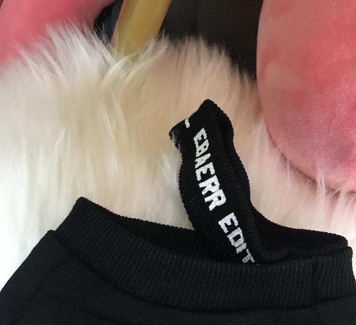Small Dog Sweater With Bold Letter Print for Spring