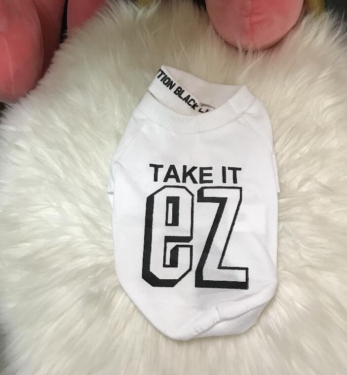Small Dog Sweater With Bold Letter Print for Spring