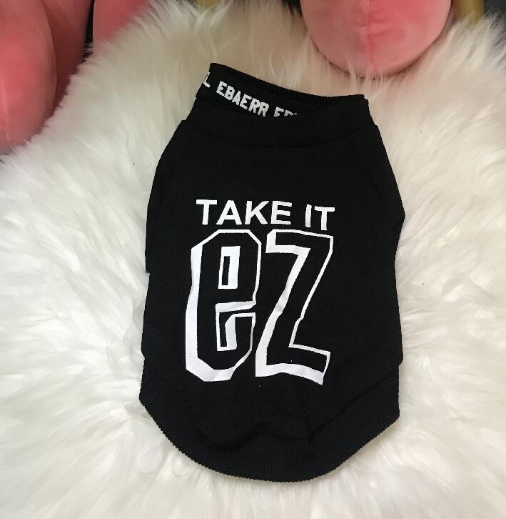 Small Dog Sweater With Bold Letter Print for Spring
