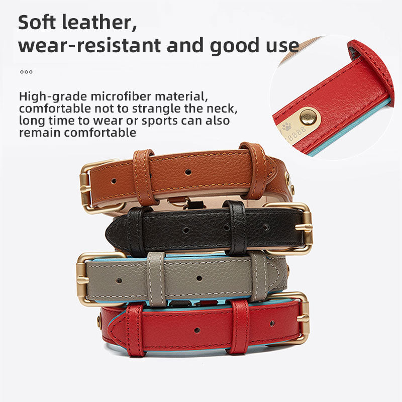 Personalized Leather Dog Collar With Reflective Safety