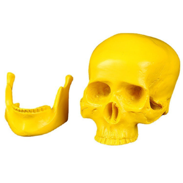 Yellow Resin Skull Ornament with Articulated Jaw