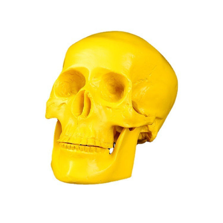 Yellow Resin Skull Ornament with Articulated Jaw