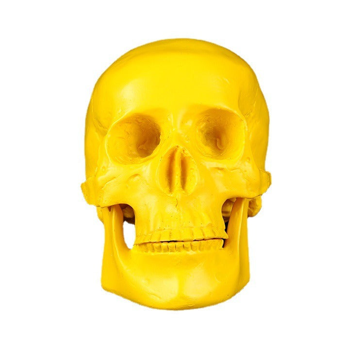 Yellow Resin Skull Ornament with Articulated Jaw