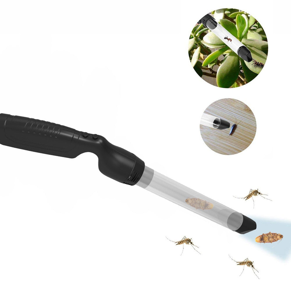 Spider Catcher Vacuum for Chemical-Free Bug Removal