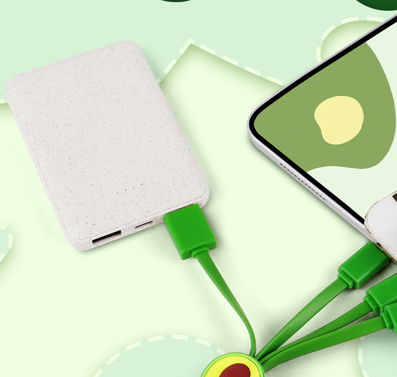 Avocado Keychain Charging Cable, Fast Charge Tips