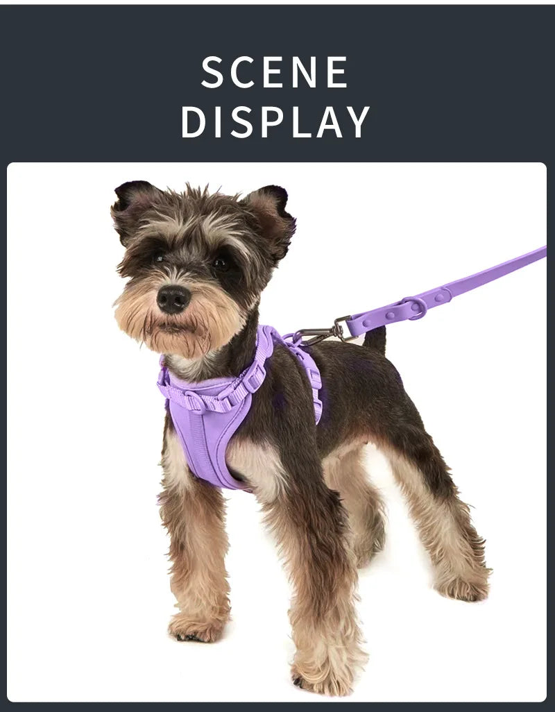 Waterproof Dog Walking Set with Padded Harness & Leash