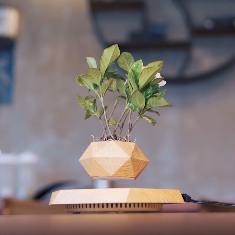 Magnetic Levitation Planter for Modern Desk Decor Display