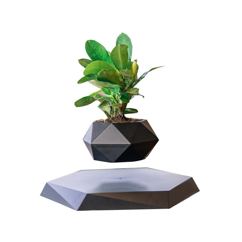 Magnetic Levitation Planter for Modern Desk Decor Display