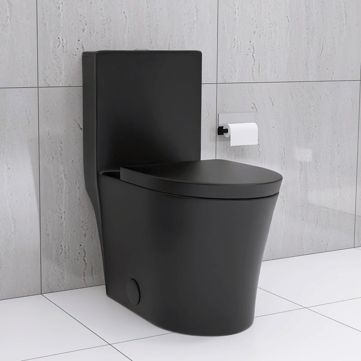 Matte Black Dual Flush Toilet With Water-Saving Design