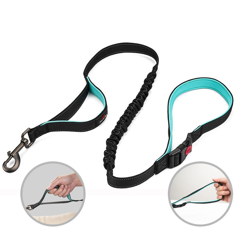 Reflective Dog Leash for Large Dogs | Double Handle