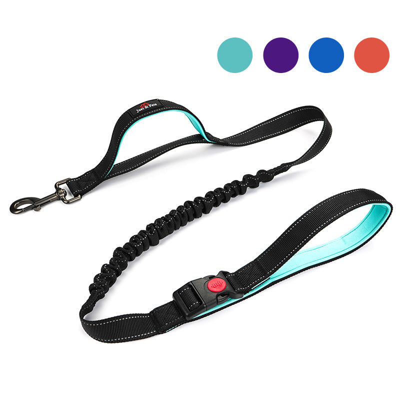 Reflective Dog Leash for Large Dogs | Double Handle