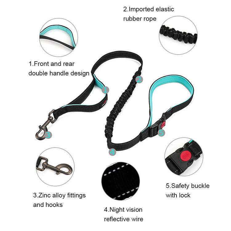 Reflective Dog Leash for Large Dogs | Double Handle