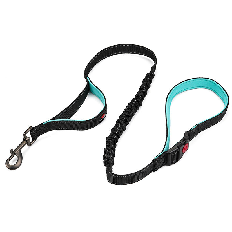 Reflective Dog Leash for Large Dogs | Double Handle