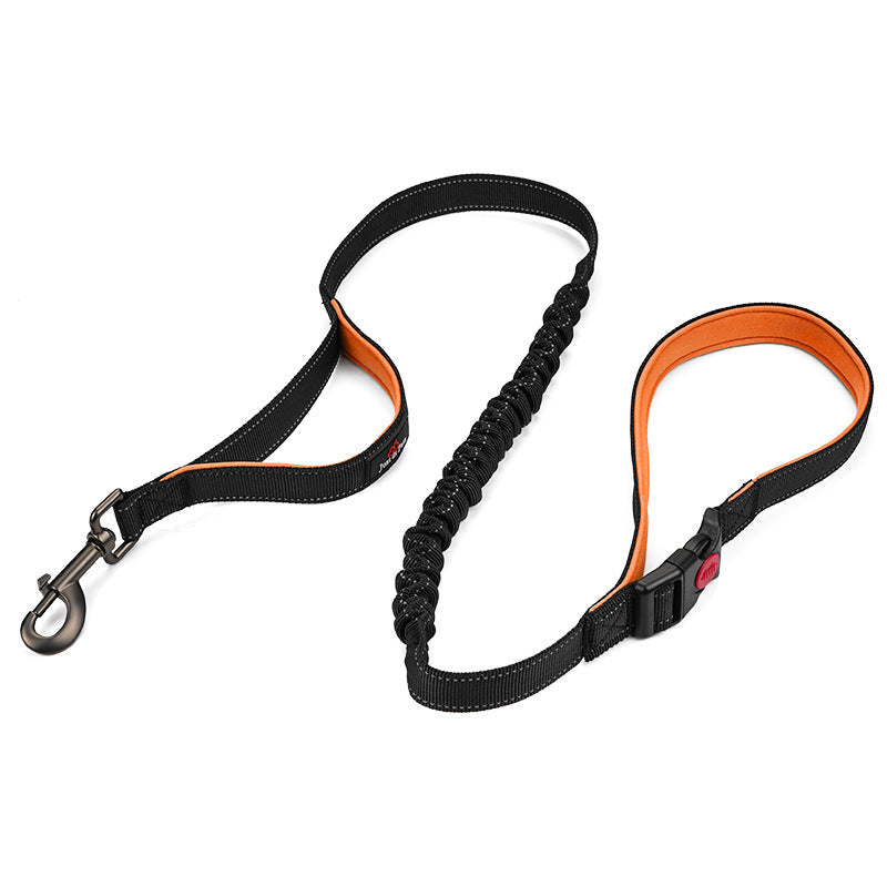 Reflective Dog Leash for Large Dogs | Double Handle
