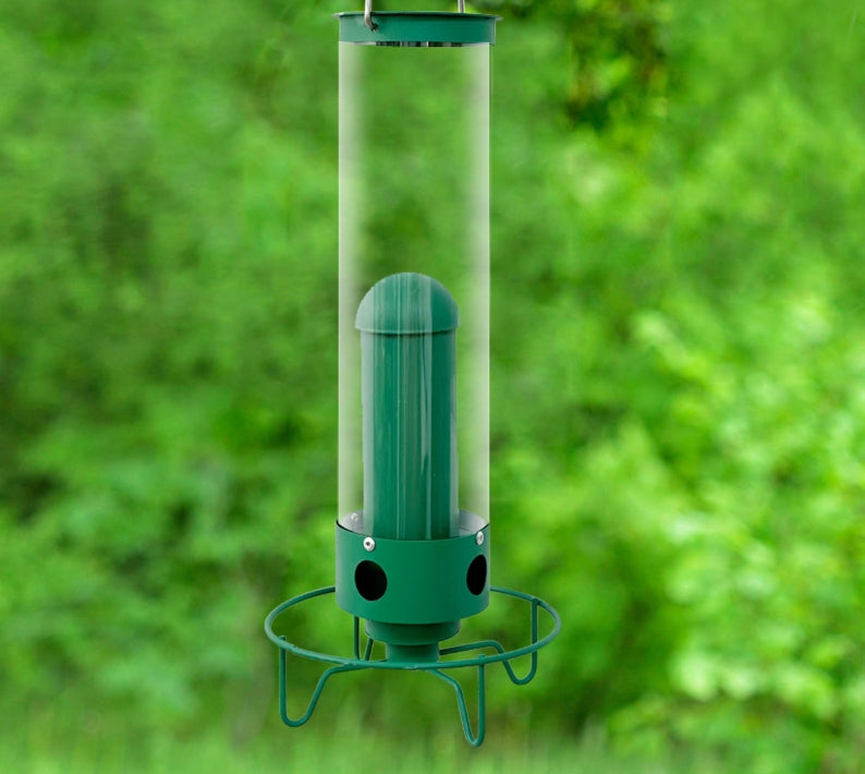 Hanging Metal Bird Feeder for Easy Seed Level Checks