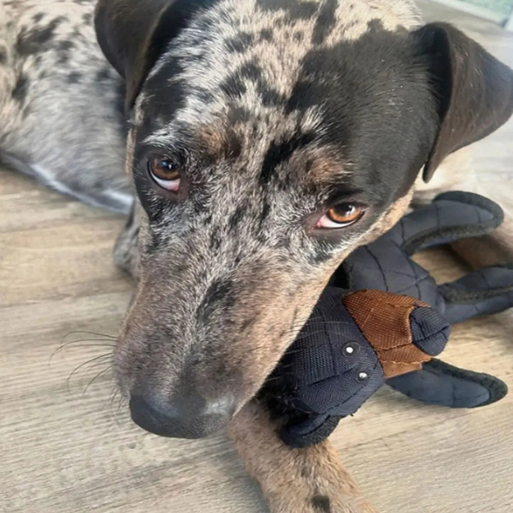 Interactive Plush Dog Toy for Chewing, Tugging & Play