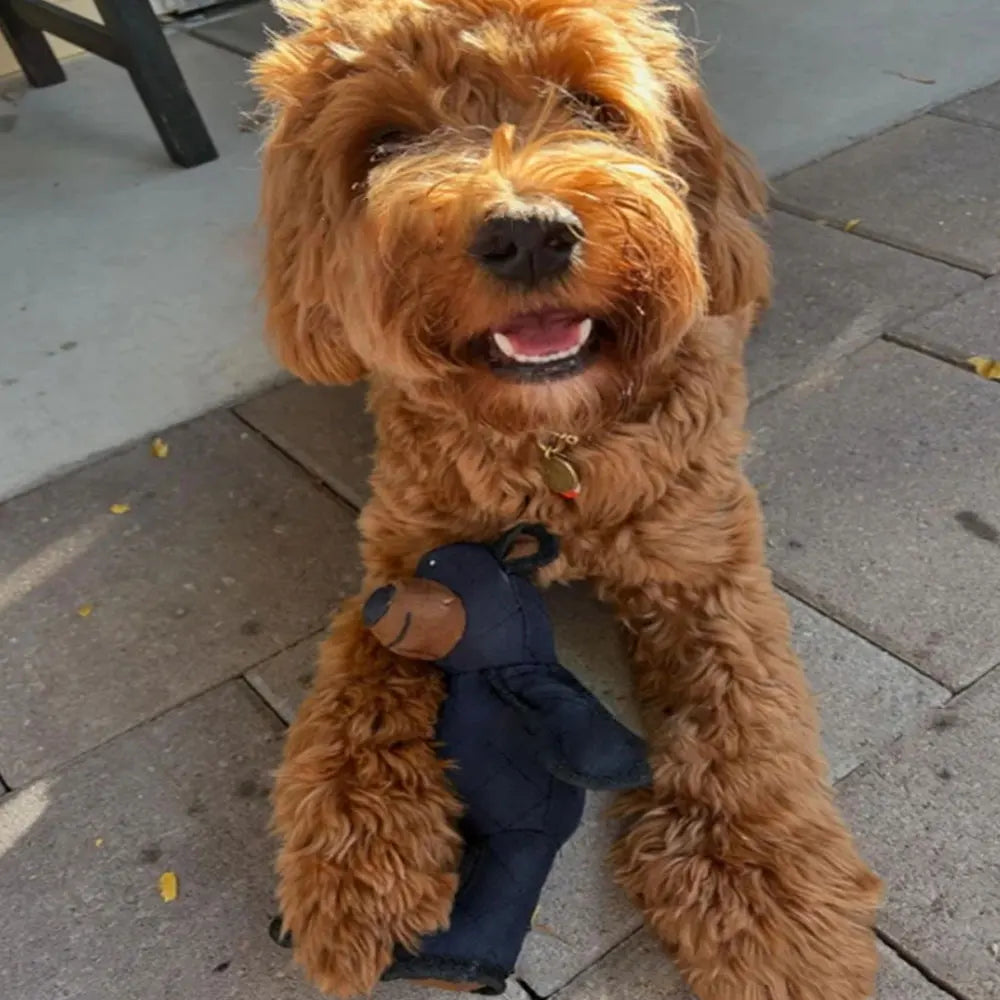 Interactive Plush Dog Toy for Chewing, Tugging & Play